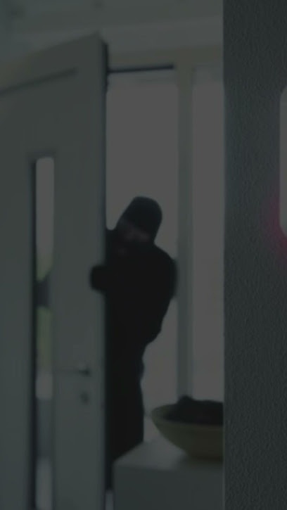 ALPHA SECURITY