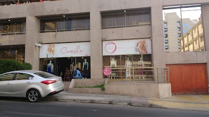 CamLu