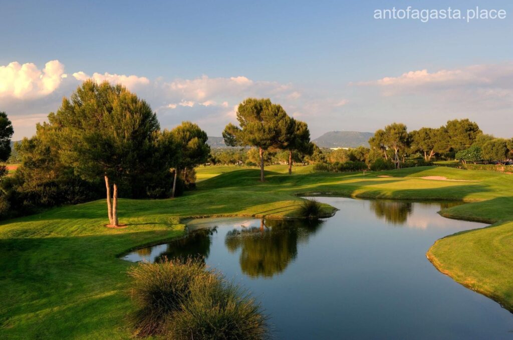 Los 1 mejores campos de golf de Antofagasta