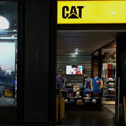 Cat Plaza Calama