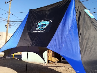 FUNDAS Y CARPAS A&P