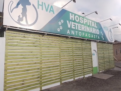 Hospital Veterinario Antofagasta