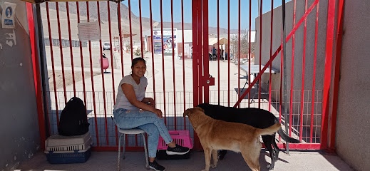 PET Municipalidad de Antofagasta