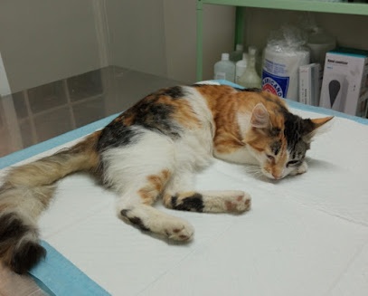 Veterinaria Fluffy