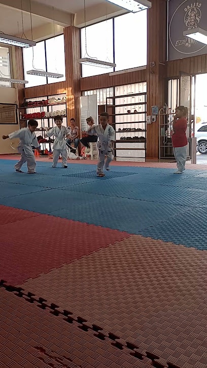 Collao Dojo
