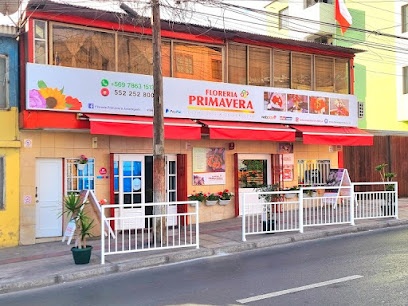 Florería Primavera Antofagasta