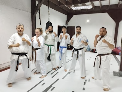 Karate Kenshikai Antofagasta Karate Contacto