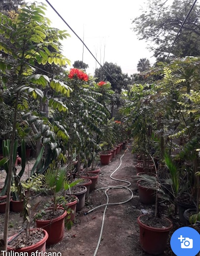 Vivero Tropical Spa