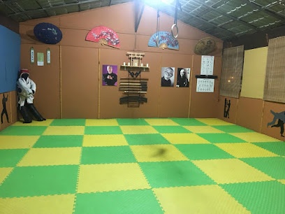 Bujinkan HakuRyu Dojo