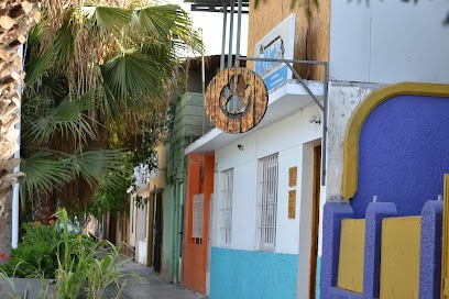 clínica de rehabilitación veterinaria Medivet Antofagasta