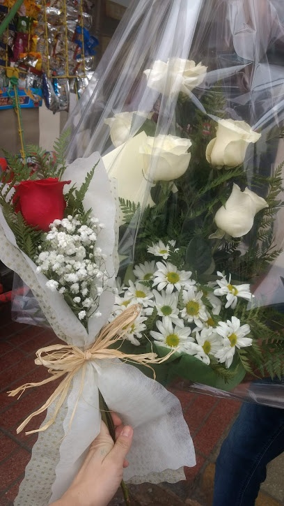 Floristeria Belfiori