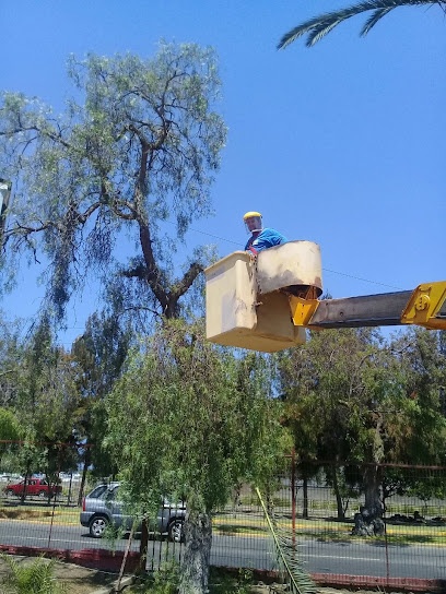 Jardineria TSNorte