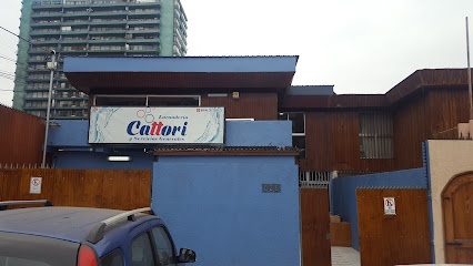Lavandería Cattori SPA