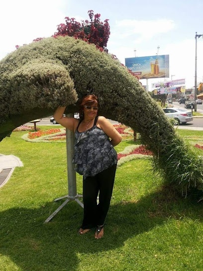 Lazcano Leyton Climatizaciones
