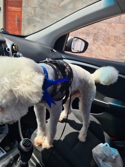 Peluqueria canina Natu Chic