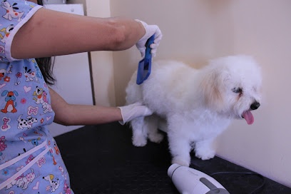 Peluqueria Canina Pet Style Antofagasta