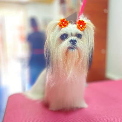 Pet shop y peluquería canina maskoshop