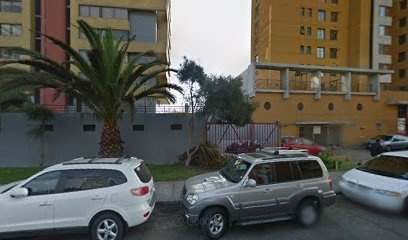 Proyex Asesorias Gerenciales Limitada
