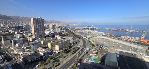 Salomon Store Antofagasta