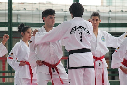 Taekwon-Do Yoo Sin Kwan