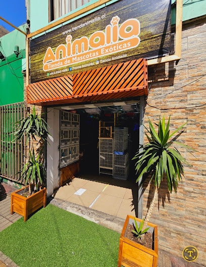 Tienda Mascotas ANIMALIA
