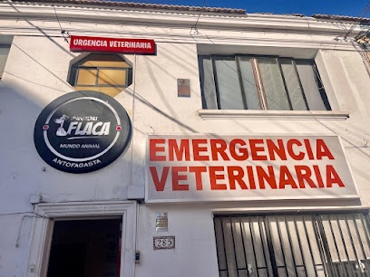 Veterinaria Dogtora Flaca 24 Horas
