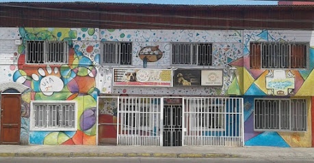 Veterinaria Integral Via 24, NO 24 Horas
