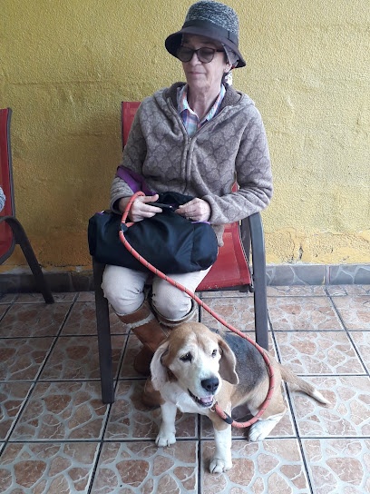 Veterinaria Mi Pequeña Sasha