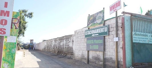 Vivero Antofagasta